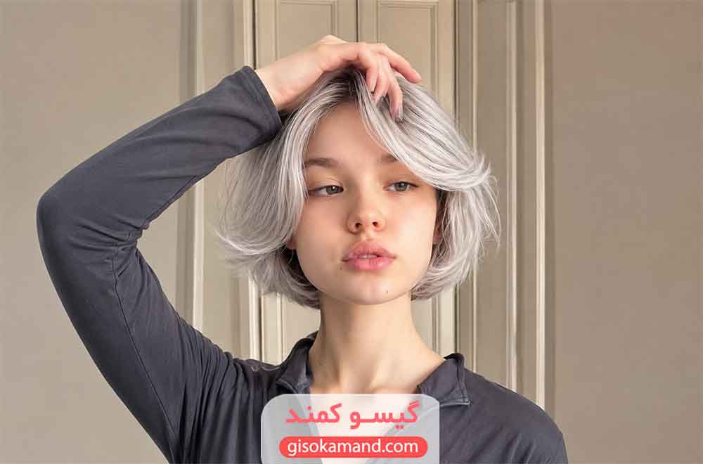 هماهنگی آرایش با رنگ موی یخی
