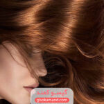 Hazel hair color