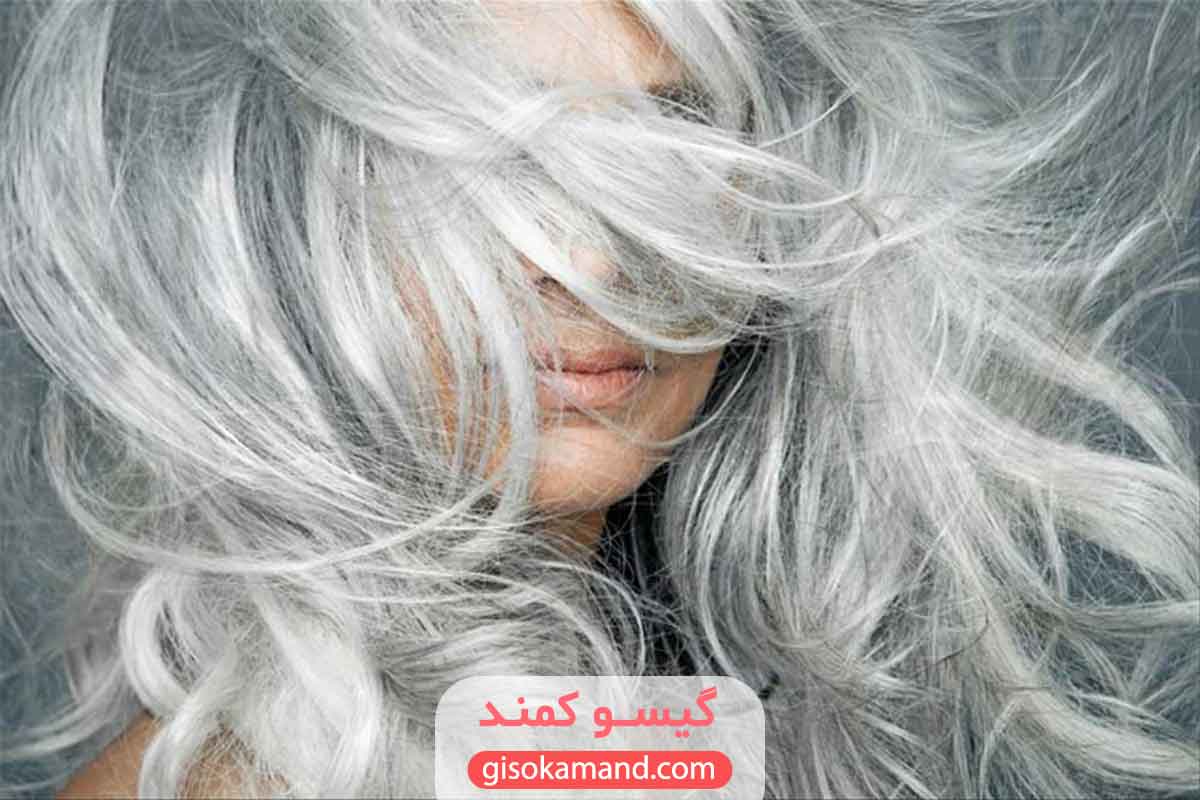 خشکی و زبری موهای سفید