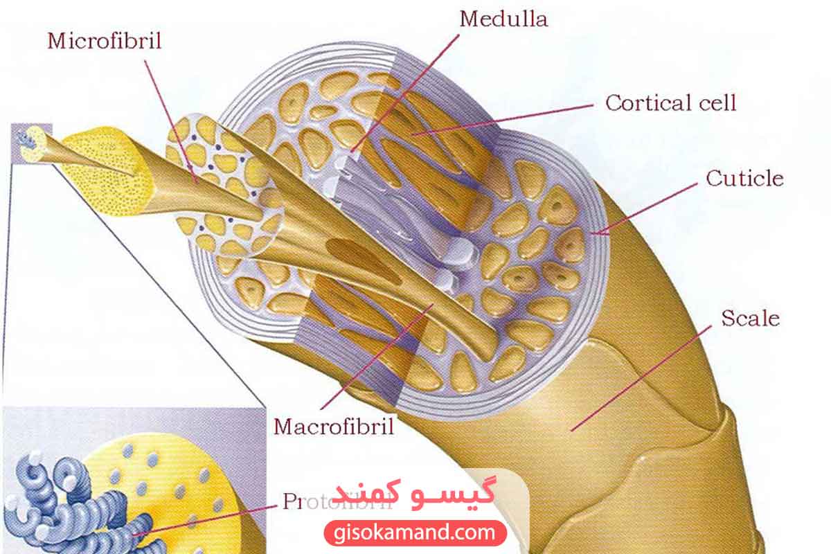 راهکار باز کردن کوتیکول مو قبل از رنگ