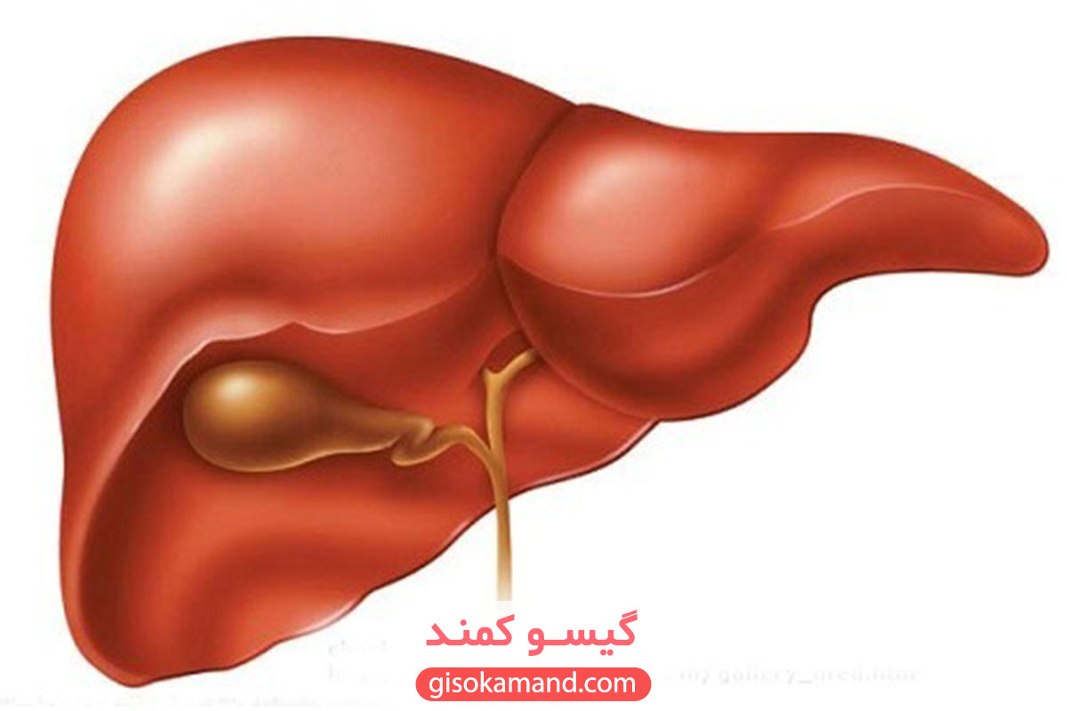 آیا رنگ مو برای کبد ضرر دارد؟