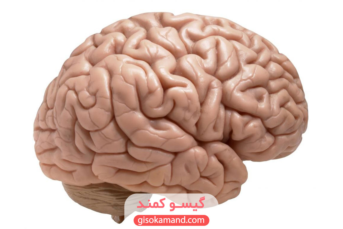آیا رنگ مو برای مغز ضرر دارد؟