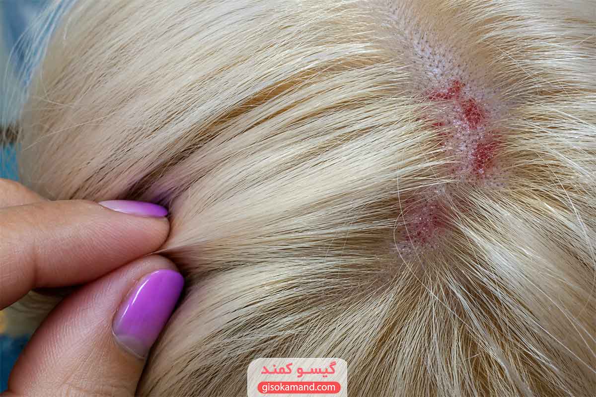 عوارض رنگ مو برای بدن