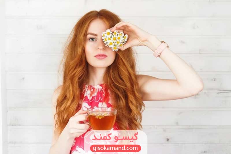 روشن کردن مو با بابونه